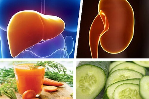 Suco de cenoura e pepino para fortalecer o fígado e os rins
