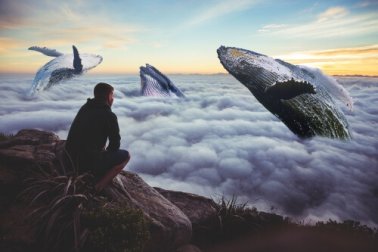 Tive que me perder várias vezes para me encontrar