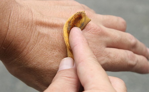 9 usos para a casca de banana