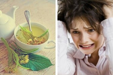 As melhores infusões para diminuir a ansiedade e o nervosismo