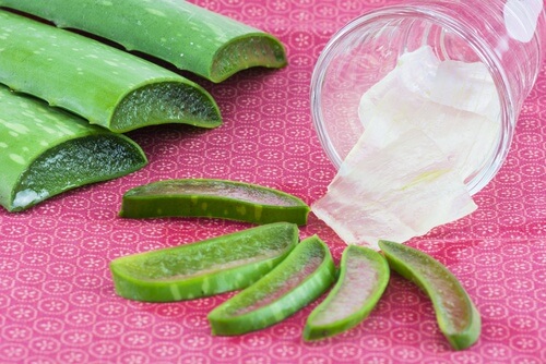 Como congelar gel de aloe vera