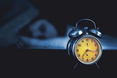 As melhores plantas para dormir a noite inteira