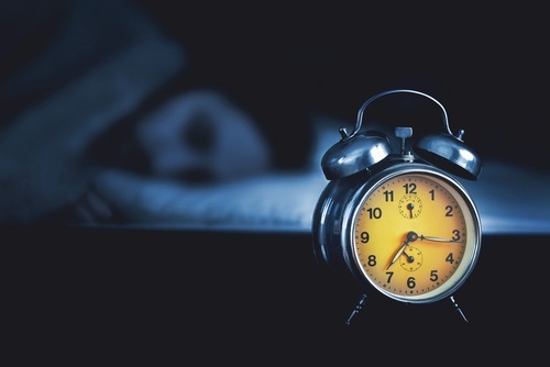 As melhores plantas para dormir a noite inteira