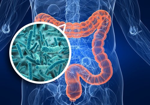 Quer melhorar sua saúde? Comece pelos intestinos