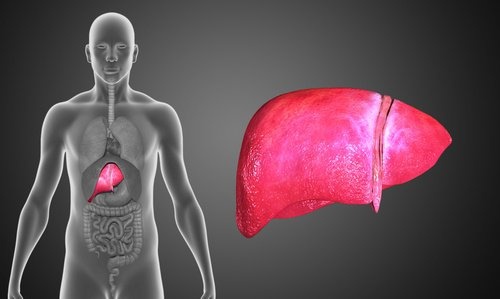 Água de passas para desintoxicar o figado
