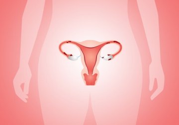 5 alimentos reguladores hormonais