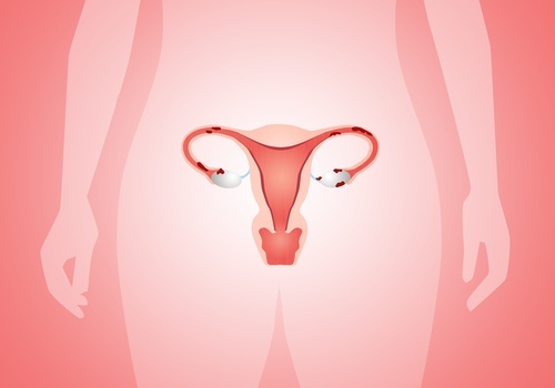 5 alimentos reguladores hormonais
