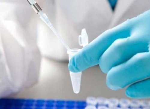 Uma biópsia líquida permitirá detectar tumores cerebrais