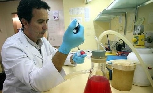 Cientista investigando biópsia líquida