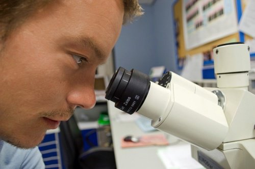 Estudo-preliminar-bacterias-vaginais