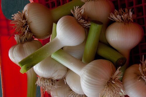 Alimentos para desintoxicar o fígado Alimentos para desintoxicar o fígado