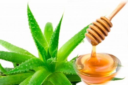aloe_vera_e_mel