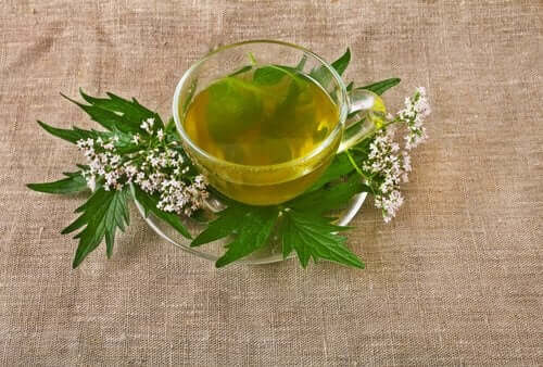 Chá de valeriana