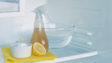 Dicas para limpar e eliminar o mau cheiro da geladeira