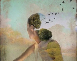 Existem dois tipos de dor: a que machuca e a que muda você