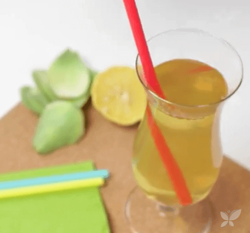 suco_de_alcachofra_limao