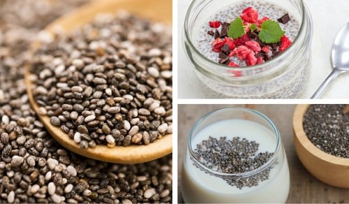 6 ideias maravilhosas de como incluir as sementes de chia na sua dieta 6 ideias maravilhosas de como incluir as sementes de chia na sua dieta