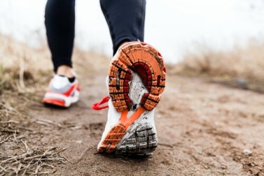Caminhar: o melhor exercício para a mente e o corpo