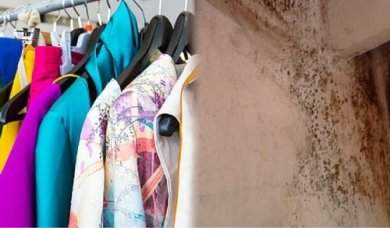 Tire o cheiro de mofo das roupas com alguns truques econômicos