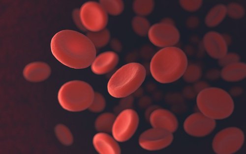 Previne-a-anemia-500x313
