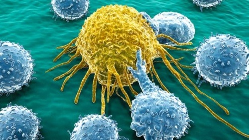 5 verdades sobre o câncer que parecem mito