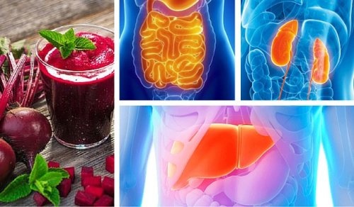Como desintoxicar cada órgão vital