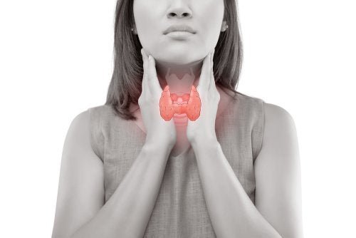 4 remédios naturais para uma glândula tireoide lenta