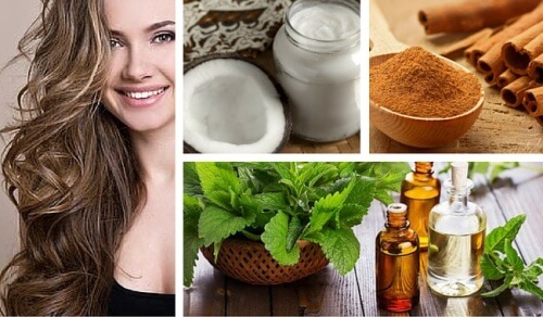 Remédio de coco, menta e canela para estimular o cabelo Remédio de coco, menta e canela para estimular o cabelo
