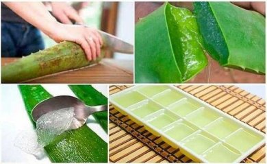 A melhor forma de guardar o gel de aloe vera