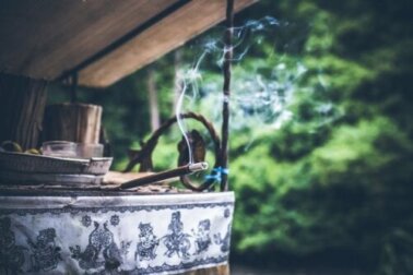 6 remédios caseiros para manter os insetos longe de casa