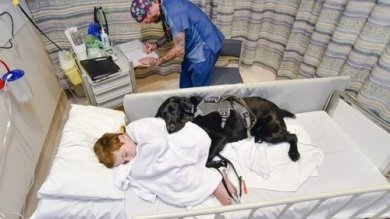 Mahe, o cão e amigo que cuida de crianças com autismo