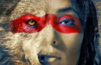 Um lobo não abandona seus sonhos por causa da opinião de ovelhas