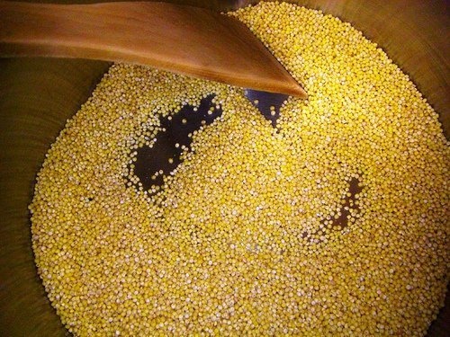 Os benefícios do milho-miúdo, o único cereal alcalinizante