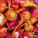 A maca peruana, uma maravilha para as mulheres
