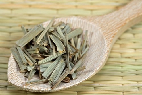 Citronela para repelir mosquitos