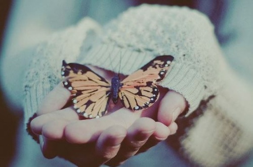 mao-com-borboleta