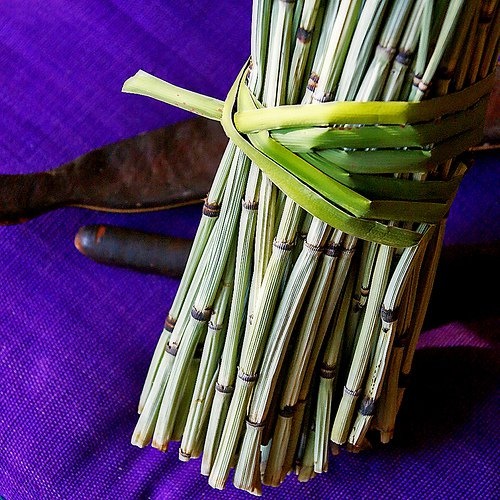 Como acelerar a cicatrização de uma fratura óssea