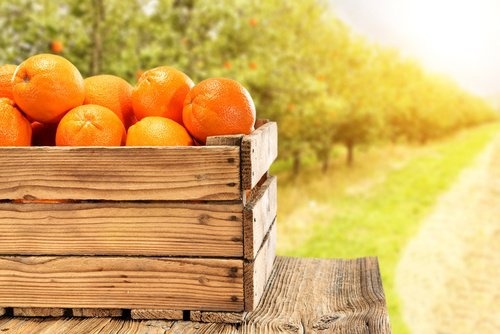 suco de laranja