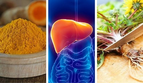 Essas são as 6 melhores ervas para proteger o fígado