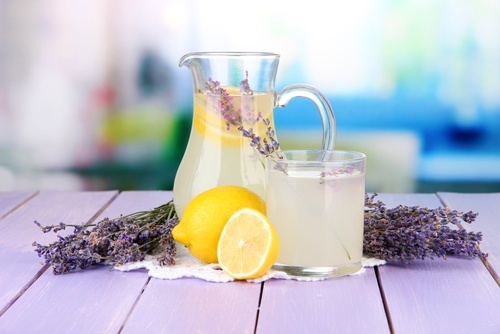 Limonada de lavanda com a planta para cefaleias