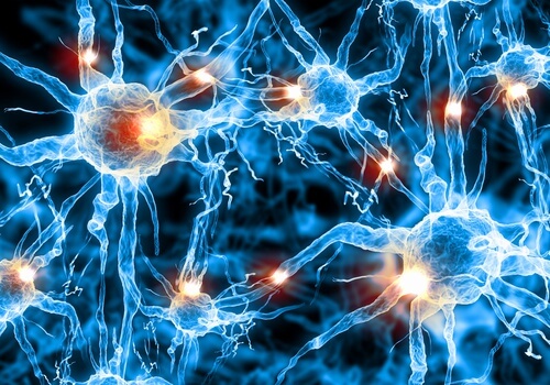 Um grupo de cientistas afirma ter detido a deterioração cognitiva associada ao Alzheimer
