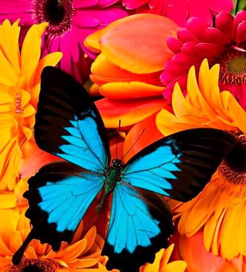 Psicologia das cores