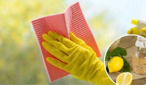 Dicas para limpar as janelas da casa