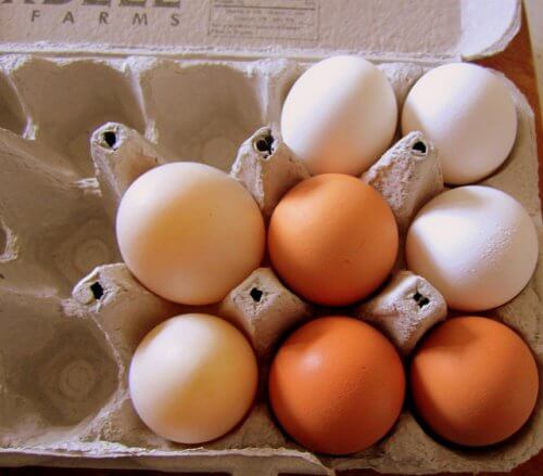 Como reutilizar caixas de ovo