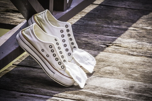 cebola-limpar-sapatos