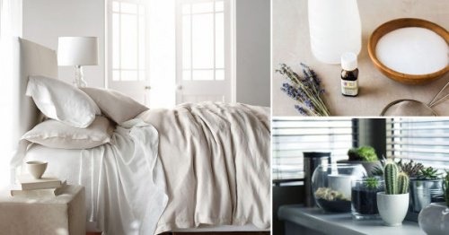 8 truques para desinfetar seu quarto de forma natural