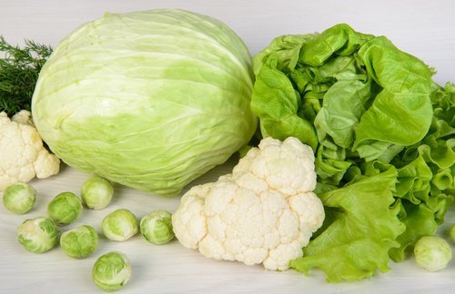 folhas-verdes-limpar-fígado
