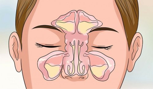 6 dicas para desobstruir seu nariz entupido em poucos minutos