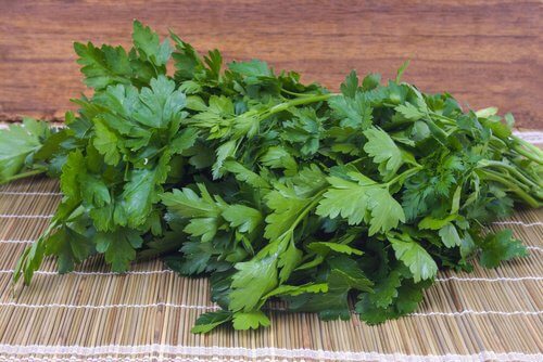 Salsa-500x334