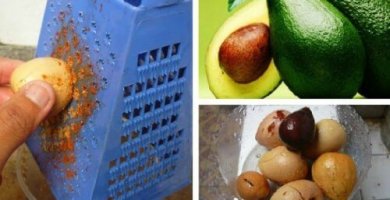 A semente de abacate oferece estes 10 benefícios para sua saúde e beleza